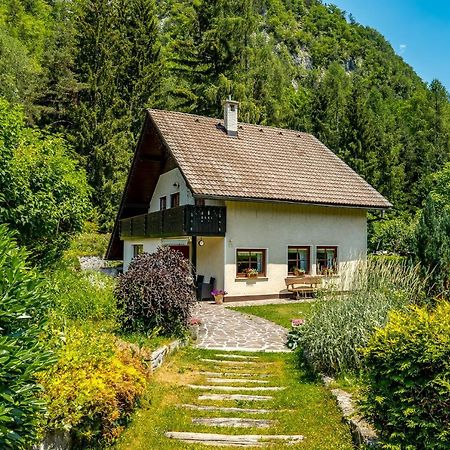 Hisa Nasproti Sonca Kranjska Gora Exterior foto